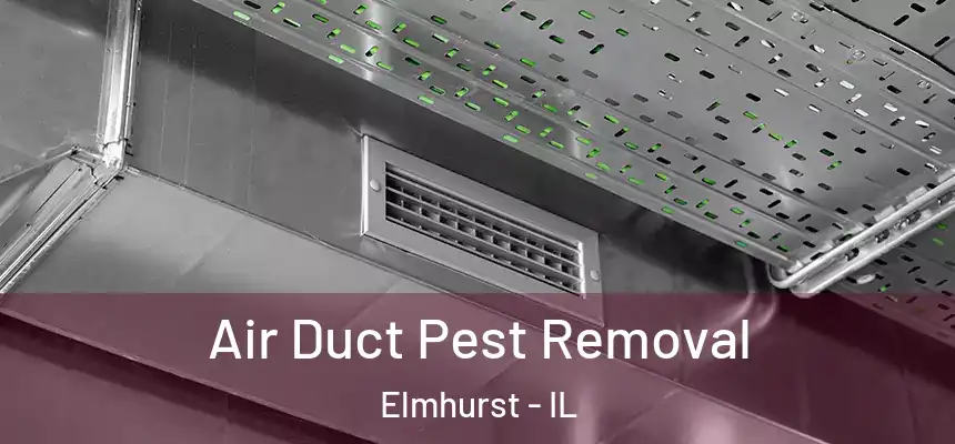 Air Duct Pest Removal Elmhurst - IL