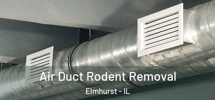 Air Duct Rodent Removal Elmhurst - IL
