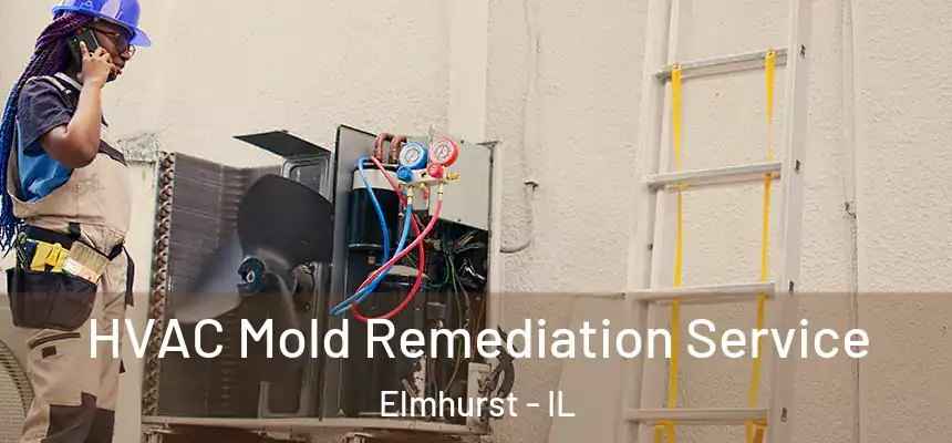 HVAC Mold Remediation Service Elmhurst - IL