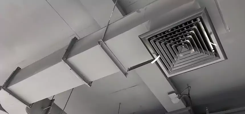 Restorative Allergy Relief Vent Cleaning – Coil, Blower & Housing Detail in Elmhurst