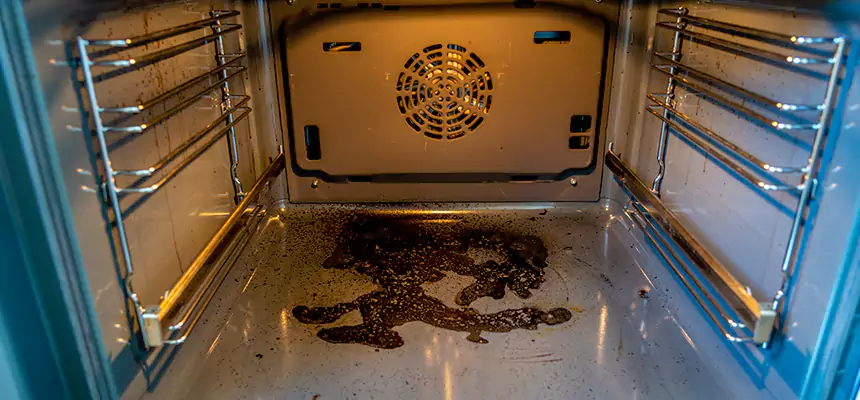 Our Dryer Vent Mold Cleaning Services in Elmhurst, IL