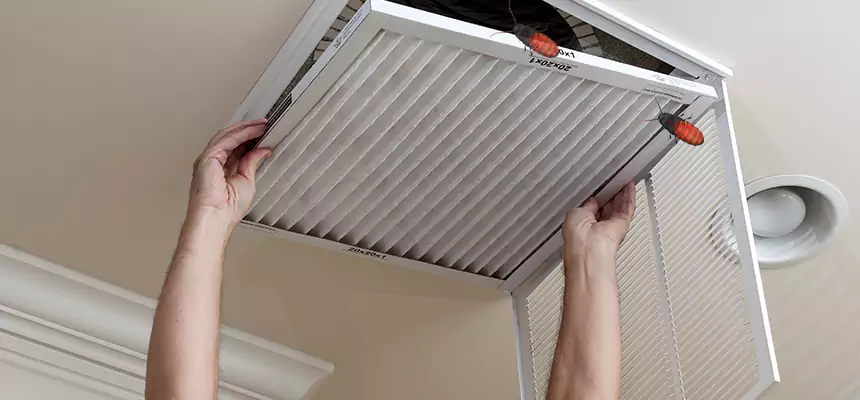 Our Insect Removal from Air Ducts Services in Elmhurst, IL