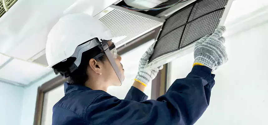 Our Mold & Mildew Removal from Air Ducts Services in Elmhurst, IL