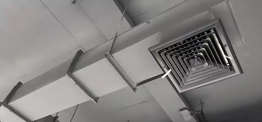 Our Rodent Droppings In Vents Services in Elmhurst, IL