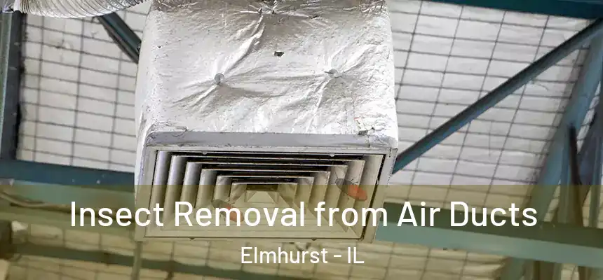 Insect Removal from Air Ducts Elmhurst - IL