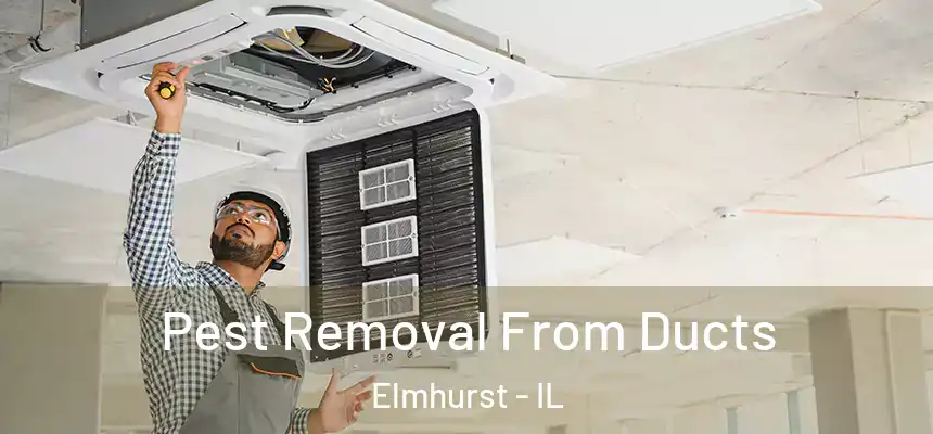 Pest Removal From Ducts Elmhurst - IL