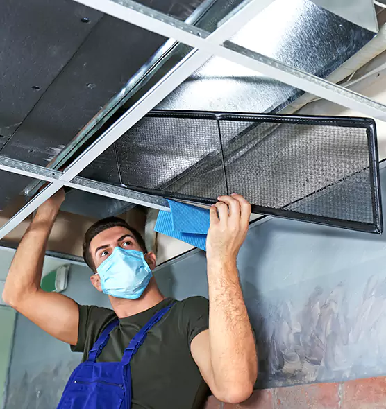 About Air Duct Bacteria Removal in Elmhurst