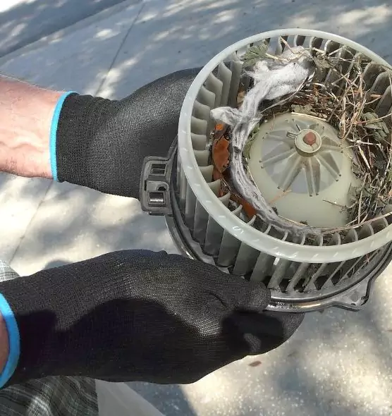 About Air Duct Mice Removal in Elmhurst, IL