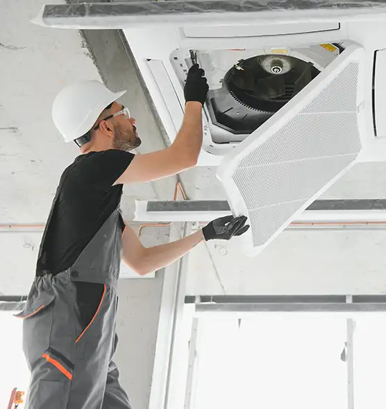 About Air Duct Rodent Removal in Elmhurst, IL