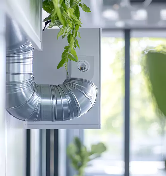 Professional Eco-Safe Dryer Vent Cleaning in Elmhurst, IL