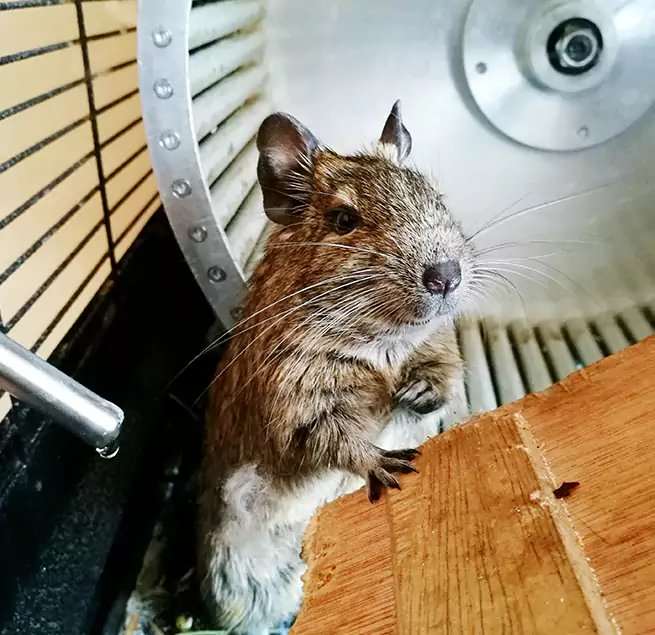 Why Homeowners & Businesses Trust Us Elmhurst, IL