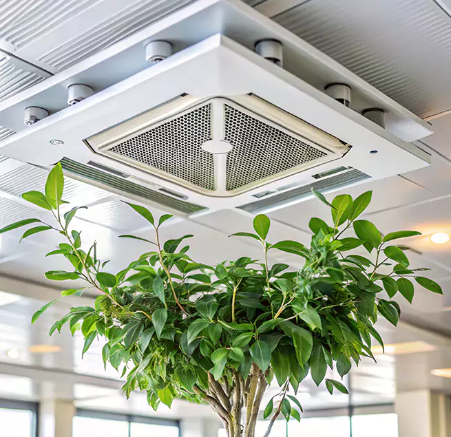 Why Homeowners & Businesses Trust Us in Elmhurst, IL?