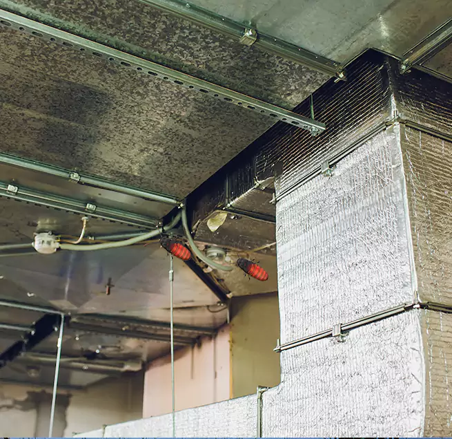 Why Homeowners & Businesses Trust Us Elmhurst, IL?